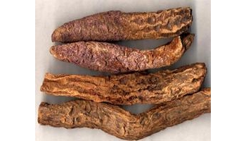 锁阳 别名：锈铁锤、地毛球、锁燕、琐阳、不老药、黄骨狼、锁严子、羊锁不拉