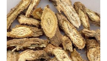 防风 别名：铜芸、回云、回草、百枝、百种