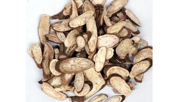 芍药 别名：将离、离草、婪尾春、余容、犁食、没骨花、黑牵夷、红药等