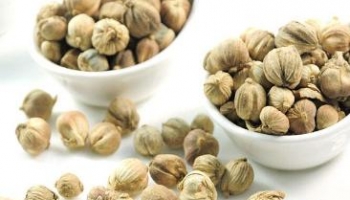 白豆蔻 别名：多骨、壳蔻、白蔻、圆豆蔻、扣米、豆蔻、白叩、白扣仁、紫蔻、波扣、叩仁、蔻仁、白豆叩、白豆扣、白蔻仁、原豆蔻、十开蔻、东波蔻、印尼白蔻、紫油蔻