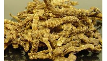 泽兰 别名：虎兰、龙枣、水香、小泽兰、虎薄、地瓜儿苗、红梗草、风药、奶孩儿