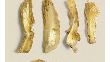 百部 百部草、百条根、闹虱药