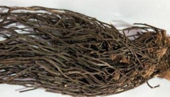 威灵仙 能消、铁脚威灵仙、灵仙、黑脚威灵仙、风车、寿祖、铁丝威灵仙、黑须公、软灵仙、铁灵仙、黑灵仙、老虎须、铁脚灵仙、酒灵仙