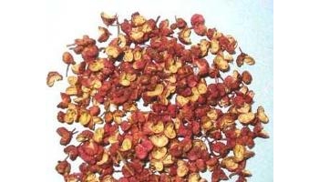 蜀椒 巴椒、汉椒、川椒、南椒、点椒