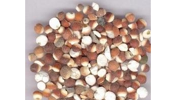 芡实 黄实, 苏芡实, 鸡头米, 卯蔆, 卯菱, 蒍子, 黄实、苏芡实、鸡头米、卯蔆、卯菱、蒍子、鸡头实、鸡头果、雁喙、鸡雍