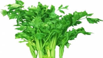 芹菜 