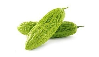 苦瓜 
