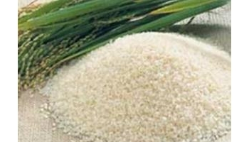 粳 