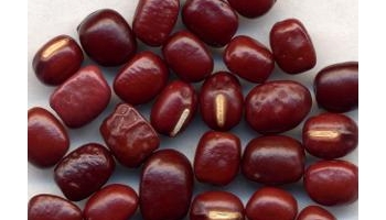 赤小豆 小豆、赤豆、红豆、红小豆、猪肝赤、杜赤豆、小红绿豆、虱牳豆、朱赤豆、金红小豆、朱小豆、茅柴赤、米赤豆