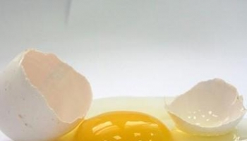 鸡子白 鸡卵白、鸡子清、鸡蛋白。