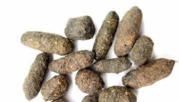 五灵脂 灵脂、糖灵脂、灵脂米、灵脂块