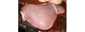 牛肝 