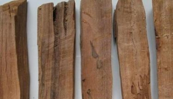 檀香 枟娜、旃枟、枟香、真枟、枟香木、旃檀、檀香木、真檀、黄檀香、裕香、黄檀、浴檀、檀香屑