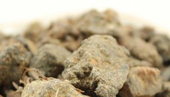 没药 末药、明没药、没药、末药、制没药、炙没药、醋炒没药、生没药、生明没药