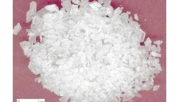 龙脑香 片脑、桔片、艾片、龙脑香、梅花冰片、羯布罗香、梅花脑、冰片脑、梅冰