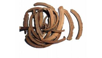 秦皮 岑皮、梣皮、樊槻皮、秦白皮、蜡树皮、苦榴皮