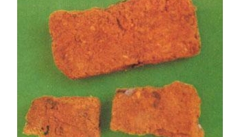 芜荑 黄榆、毛榆、山榆、芜夷、莁夷、无茹、臭芜荑、白芜夷、无夷、白芜荑、无姑、山榆仁、臭无夷