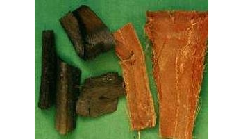 棕榈 棕榈皮、棕榈木皮、棕毛、棕皮、 陈老棕、棕板