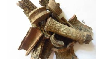 紫荆皮 肉红、内消、紫荆木皮、白林皮