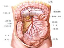 肠系膜淋巴结结核