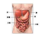 黑色素斑-胃肠多发性息肉综合征