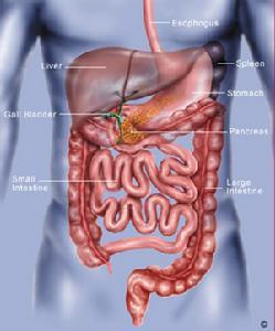 特发性胃肠道嗜酸性细胞浸润综合征
