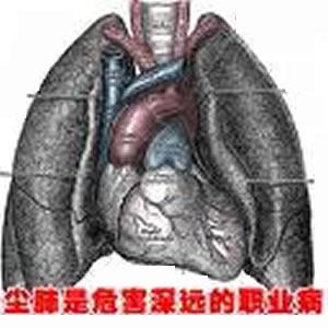 铁尘肺