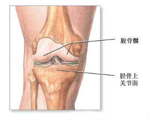 膝关节结核